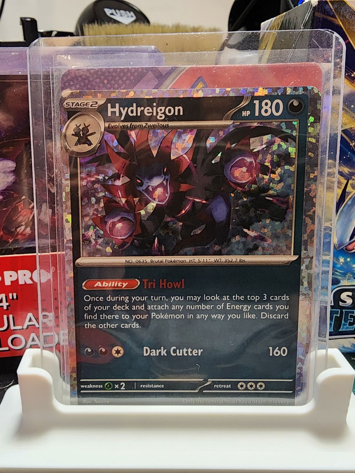 Koraidon & Hydreigon (Placeholder only)