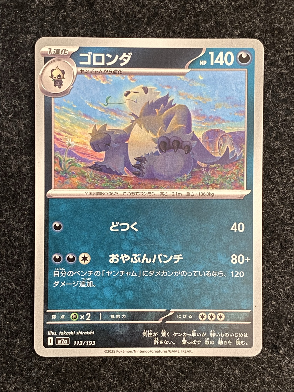 PANGORO JP