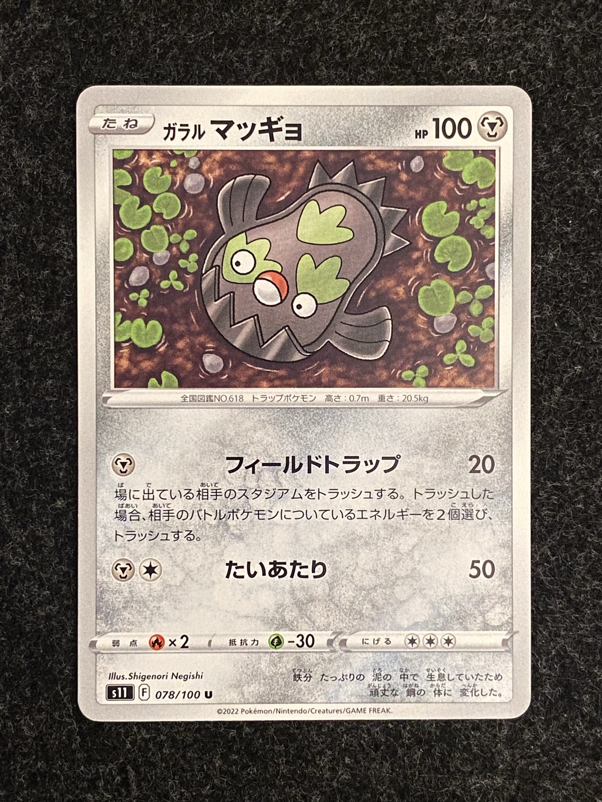 GALARIAN STUNFISK JP