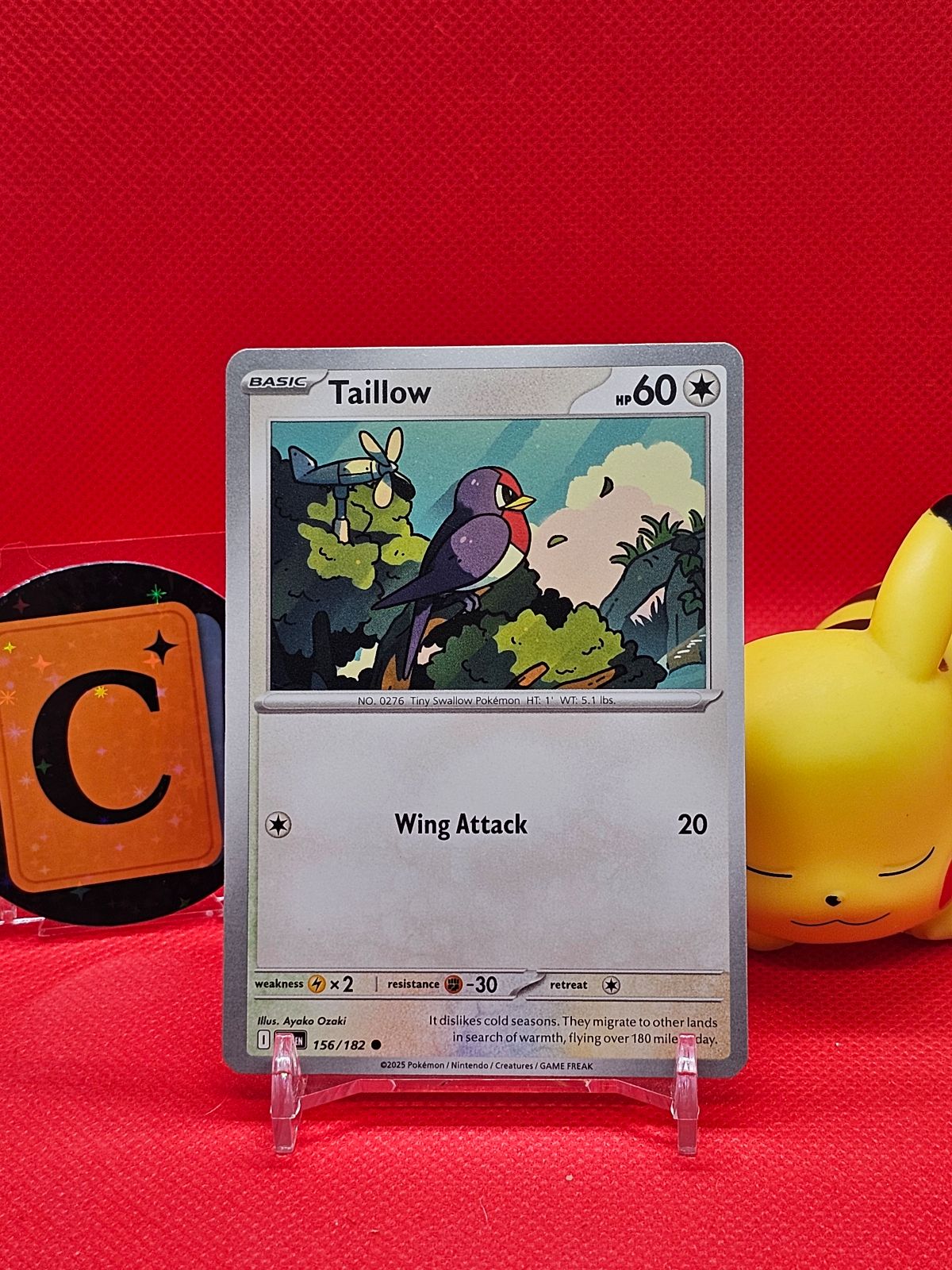 Taillow Ayako Ozaki Connecting Art